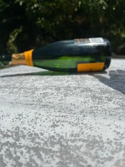 Veuve Clicquot Brut Champagne EmptyBottles