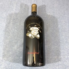 2007 WSU Wichita State University Shocker Red Display Wine Bottle Huge 19.5&Prime;x6&Prime;
