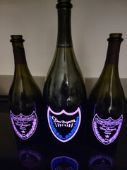 1 LADY GAGA Empty Bottle MAGNUM 1.5 ml,
