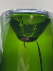 Emerald Green J Vinery Cuvee 12” Empty Wine Bottle, 750 ml, Inverted Base, EUC