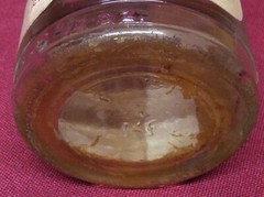 Vintage RARE Mother Goldstein Concord Grape Wine Glass Bottle W/ Cap Hartford CT