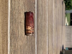 Chateau Mouton Rothschild Pauillac 1985 Empty Bottle + cork