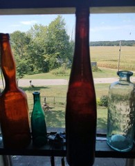 Red Early Hock Wine 14&Prime; Bottle