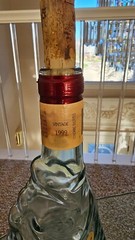 Fish Shaped Italian Wine Empty Bottle 13&Prime; Pescevino VTG Glass Sculpture Nautical
