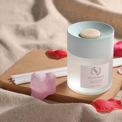 Reed Diffuser Set, Diffuser 100Ml / 3.38fl OZ Gift Box – Includes Reed