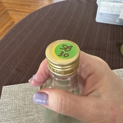 Vintage hand painted 4/5 Quart Wine Bottle (Item SB30)