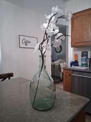 Vintage VidralaSpanish Green Glass Demijohn Wine Carboy Bottle Mold #4632