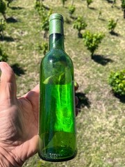 Beringer Cellars Sauterne Wine Bottle 4/5 Pint 1950s