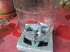 Great Terrarium True Vintage Crisa 5 Gallon Glass Bottle Unique 4&Prime; Diam.Hole