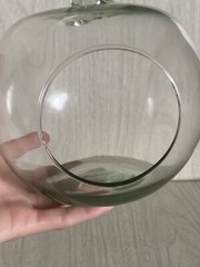 Glass Demijohn Carboy Apple Pumpkin Shaped Wine Jug Terrarium Planter 6.5&Prime;