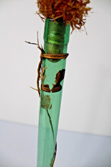 Vintage 21&Prime;H Green Glass Demijohn Carafe in Raffia, New Orleans Import Label