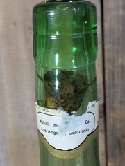 Vintage Chianti Bottle Spout & Ice Pocket Dante Tuscana Italy