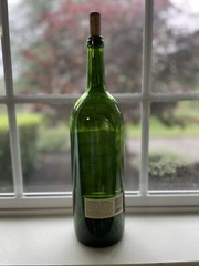 Dominus Wine Bottle Empty 1999 Napa Valley Collectible 1.5 L Magnum