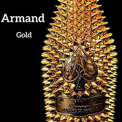 Armand de Brignac Studs Decoration Empty Bottle Color Gold Togemand Toge-mand