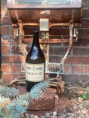 Vintage 1950s–70s Rancio Wine Bottle – Maria Vaqquier Frontignan France – 13”