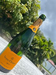 Veuve Clicquot Brut Champagne EmptyBottles