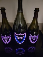 1 LADY GAGA Empty Bottle MAGNUM 1.5 ml,