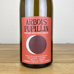 Bruyere & Houillon Arbois Pupillin 2020 Ploussard Natural Wine Empty Bottle