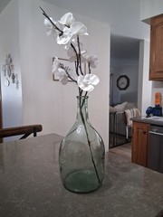 Vintage VidralaSpanish Green Glass Demijohn Wine Carboy Bottle Mold #4632