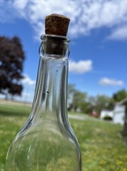 RARE PAPER LABEL SWEET VALLEY GRAPE JUICE BOTTLE SANDUSKY OHIO PUT IN BAY OH