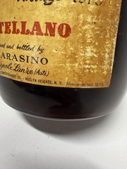 Rare Vintage 1979 Barbera Huge 19” Wine Bottle Product Of Italy 1 Gallon Empty