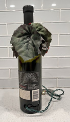 Vampire Wine Bottle with Red Tipped lights Grapes Leaves – UNIQUE & COOL!