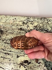 Vintage Rattan bottle