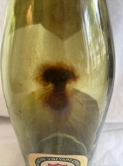 Vintage Faiveley Burgundy Cote-D’Or France Empty Bottle 1966 w/Cork, Empty (WC2)