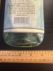 Glass Wine Bottle Wall Art – Candoni Pinot Grigio – 12&Prime;x4.”