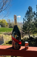 Giant EMPTY SEALED DISPLAY G.M. MUMM Champagne Bottle Factice Dummy Bottle