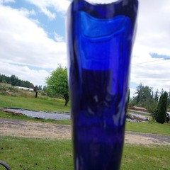 Cobalt Blue Cat Bottle Mosel-Saar-Ruwer Riesling Wine bottle 13&Prime; tall