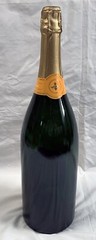 Sealed Empty Gran Campo Viejo Cava Brut Reserva Bottle Display Dummy 3 Liter