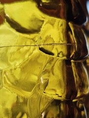 Vtg Amber Fish Wine Bottle With Original Label Augusto & F.lli Borghini Italy