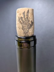 “The Walking Dead” Blood Red Blend Empty Wine Bottle 750ml 2016