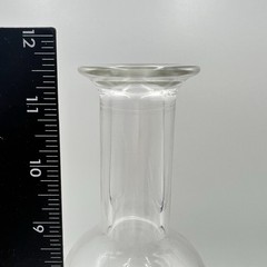 Luigi Bormioli Italy Optima Glass Wine Bottle Serving Flower Vase Water Carafe