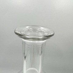 Luigi Bormioli Italy Optima Glass Wine Bottle Serving Flower Vase Water Carafe