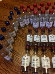 48 Sutter Home Wine 187 ML Empty Plastic Bottles & Lids- Great for Crafts