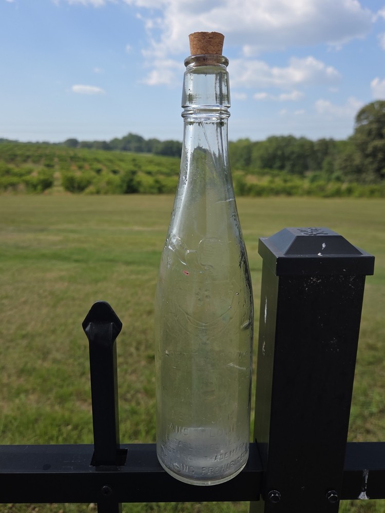 Early 1900&rsquo;s Garrett & Co. Virginia Dare 14oz Embossed Bottle New York/St.Louis