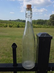 Early 1900&rsquo;s Garrett & Co. Virginia Dare 14oz Embossed Bottle New York/St.Louis