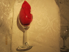 Starved Rock Lodge & Conference Center Clear Stem Wine Glass