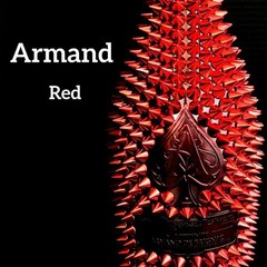 Armand de Brignac Studs Decoration Empty Bottle Color Red x Red Togemand