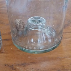 Pair Clear Glass Wine Bottles Embossed Grapevine Motif 4/5 Quart