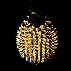 Dom Perignon Studs Decoration Empty Bottle Color Vintage Gold Togemand Toge-mand