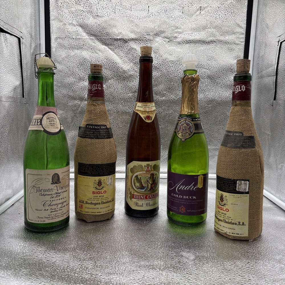 Lot Of 5 Empty Vintage Wine Bottles Siglo Wrapped, Thomas Vin, André, Paul Mason