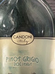 Glass Wine Bottle Wall Art – Candoni Pinot Grigio – 12&Prime;x4.”